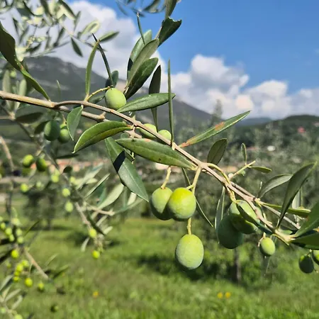 Panzió Gardazen - Luxury - Adults Only