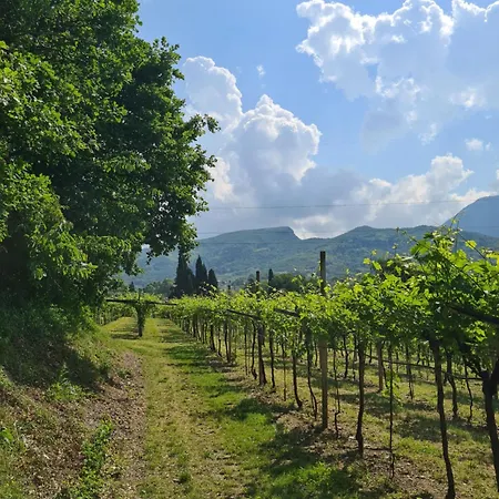 Gardazen - Luxury - Adults Only Panzió